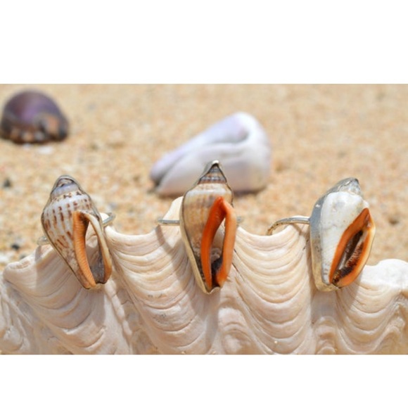 Seashell ring - Picture 3 of 4